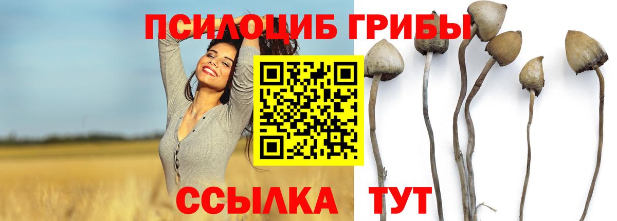 Галлюциногенные грибы Cubensis Новоалтайск